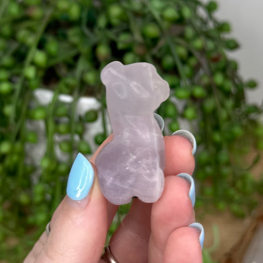 Purple Fluorite Llama (U749)