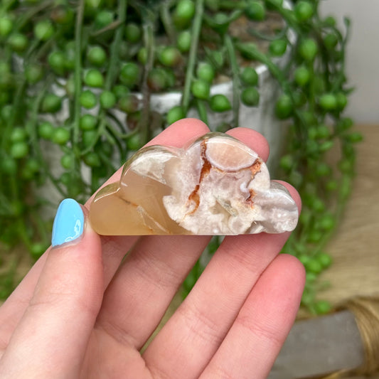 Flower Agate Cloud (234A)