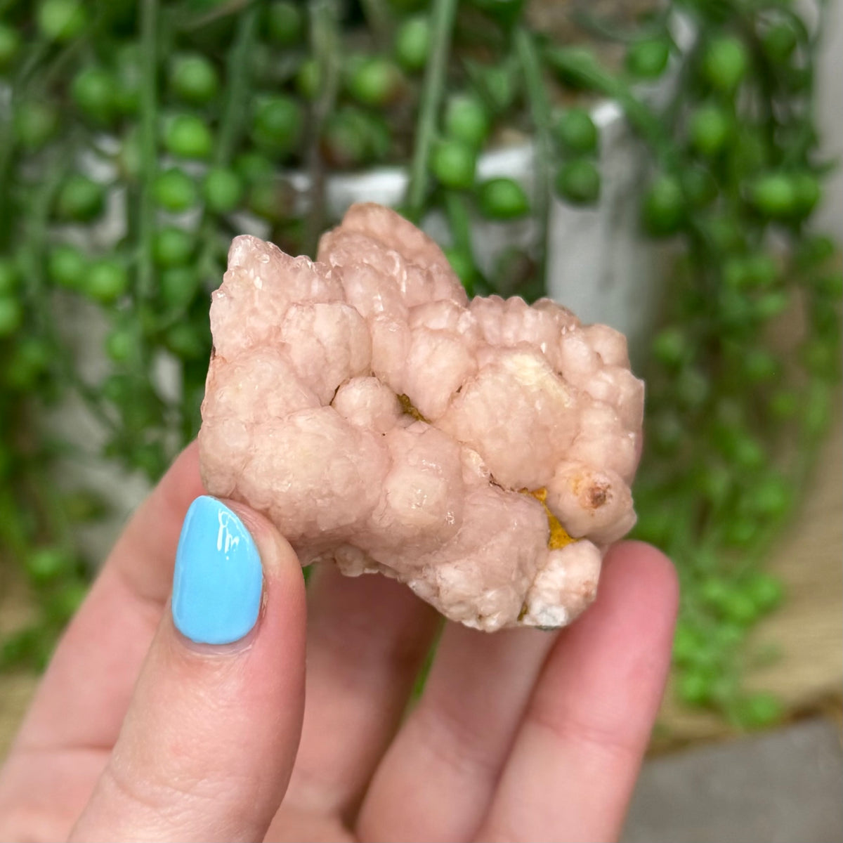 Pink Quartz Cluster (253A)