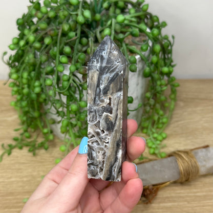 Sphalerite Point (246A)