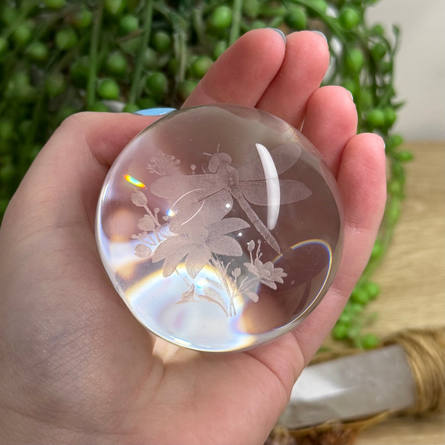 Dragonfly Glass Sphere (146A)