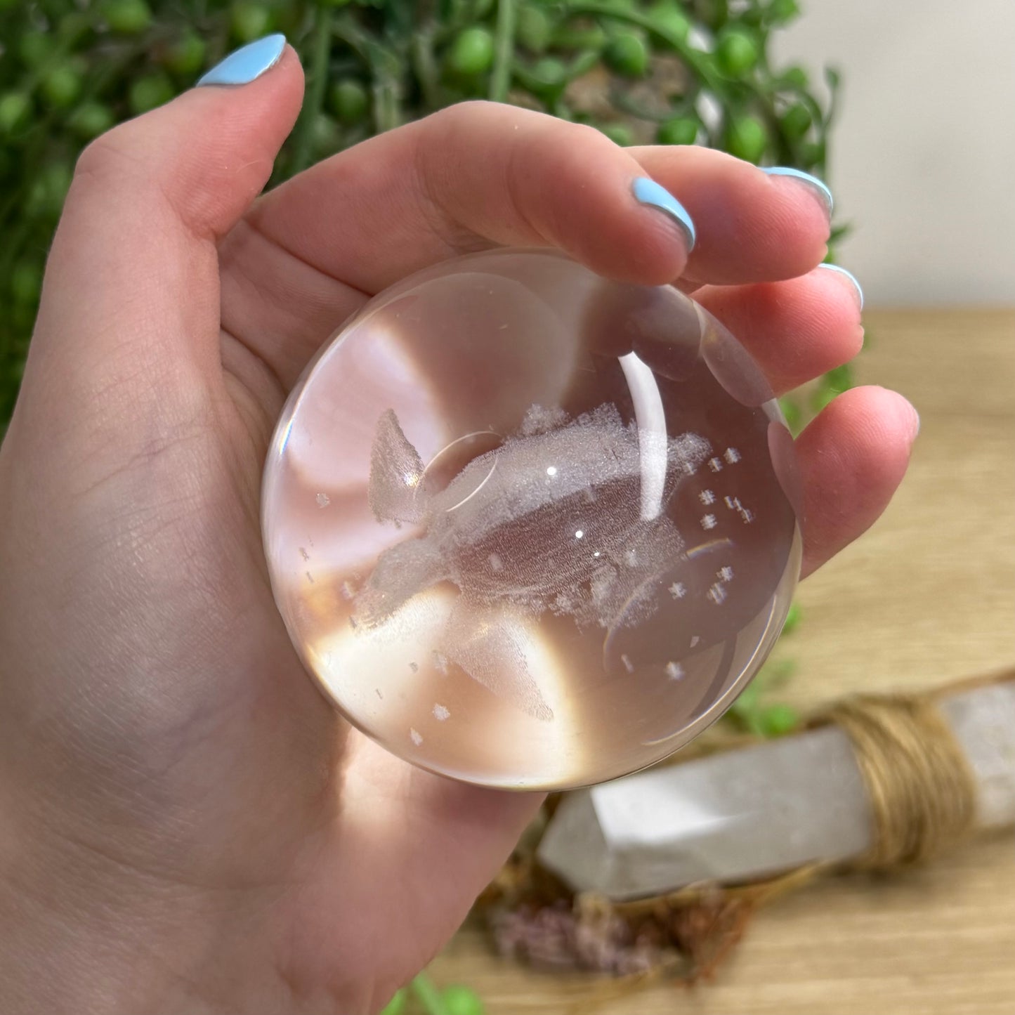Turtle Glass Sphere