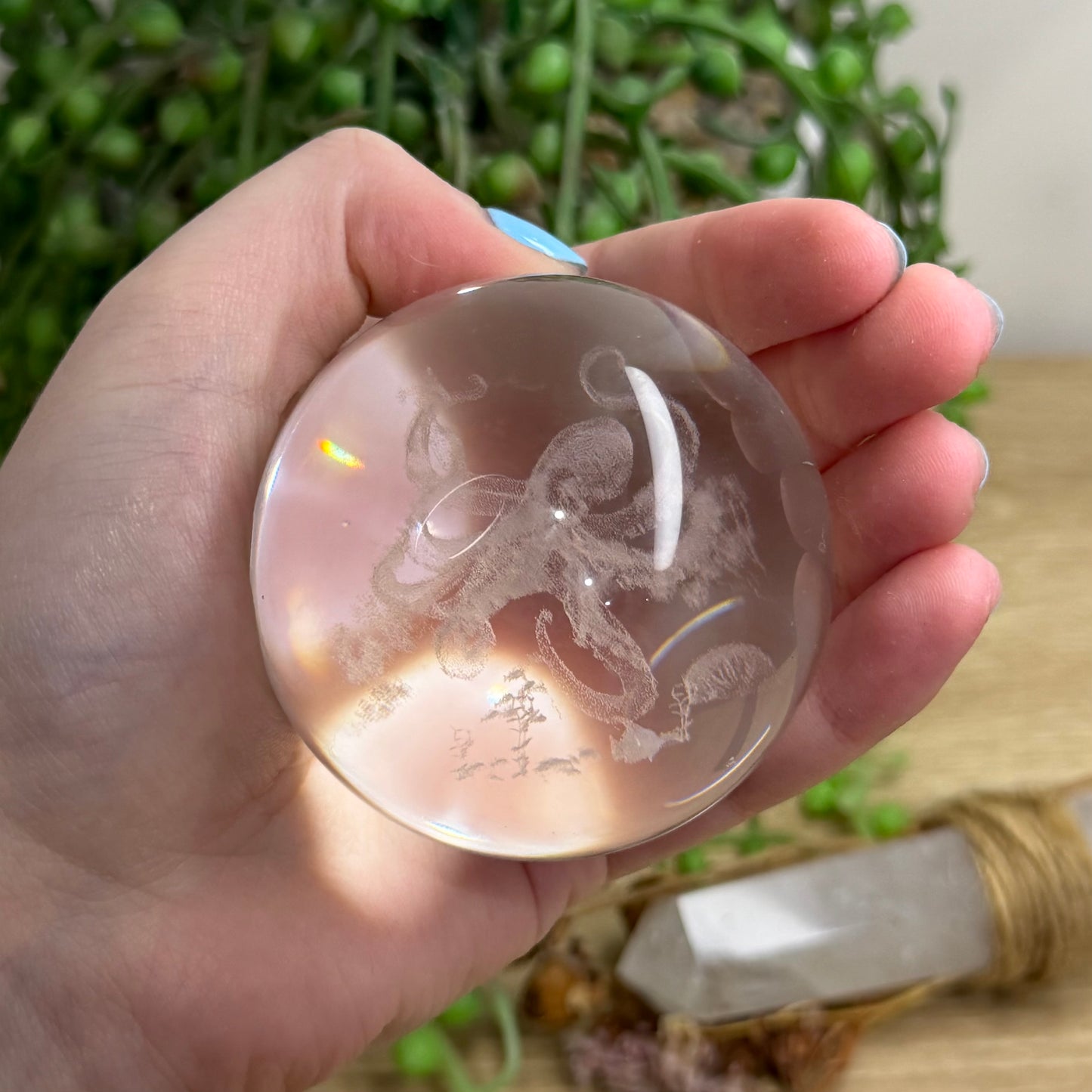 Octopus Glass Sphere (151A)