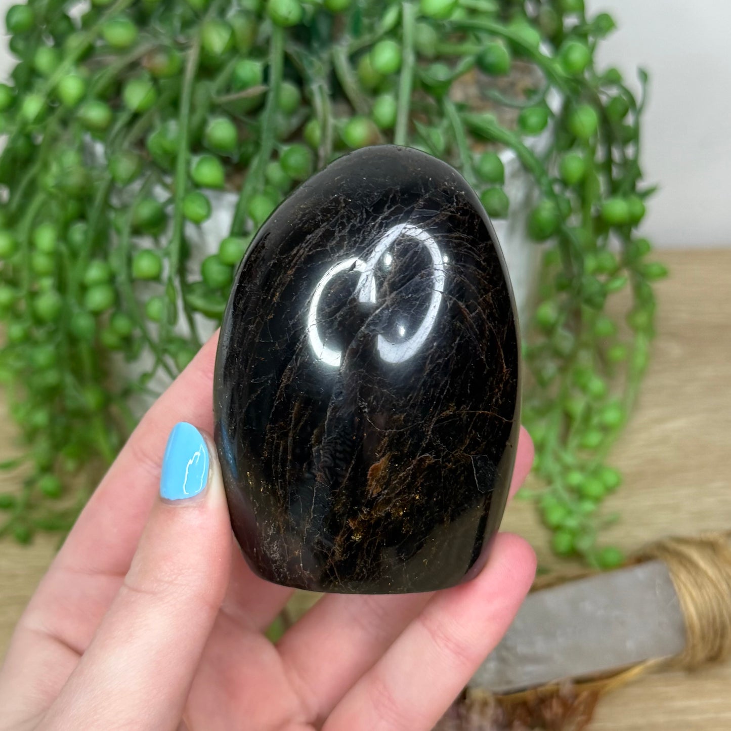 Black Tourmaline Arch Free Form (24A)