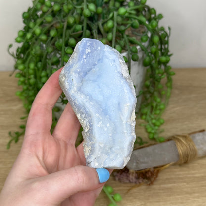 Blue Lace Agate Specimen (Z871)