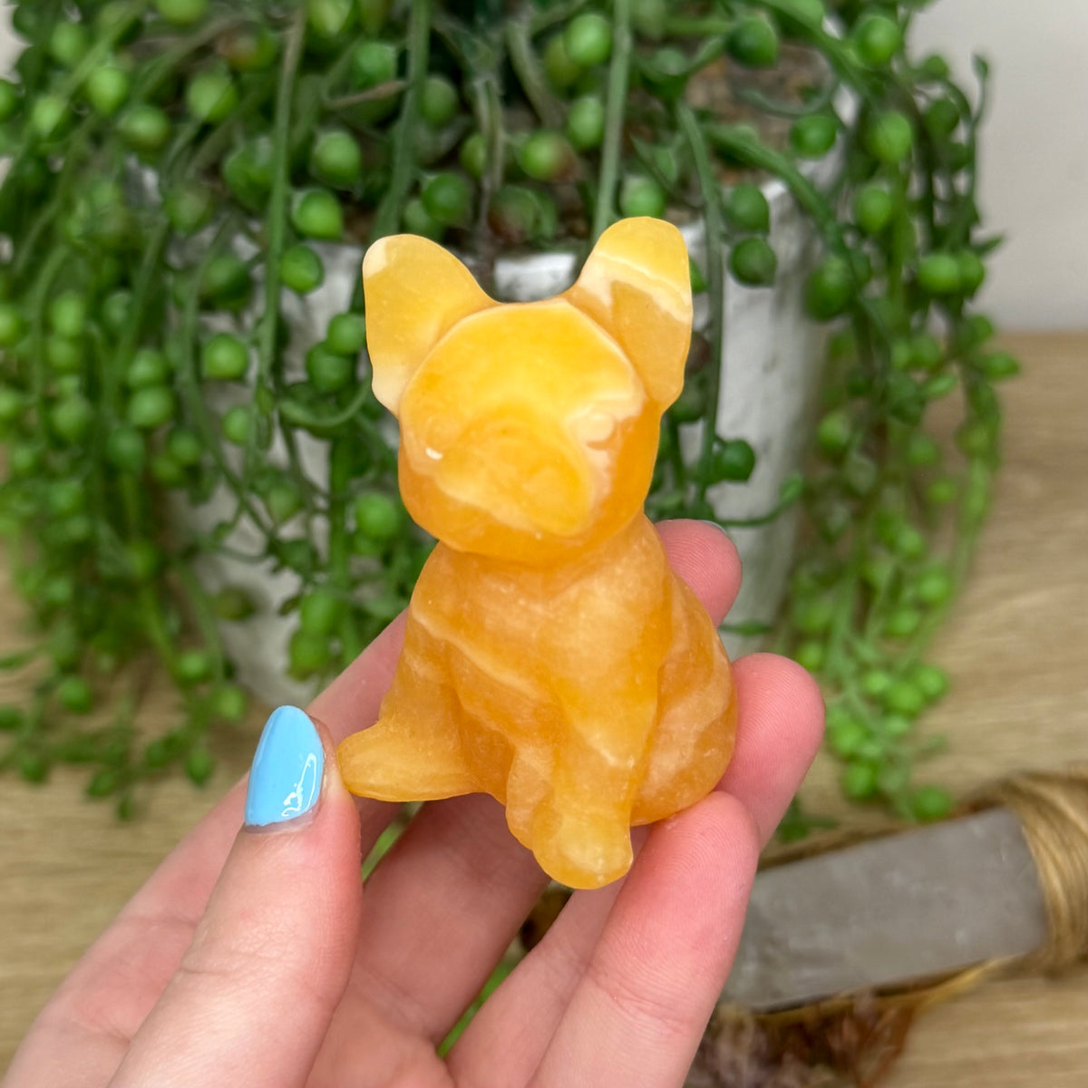Yellow Calcite French Bulldog (45A)