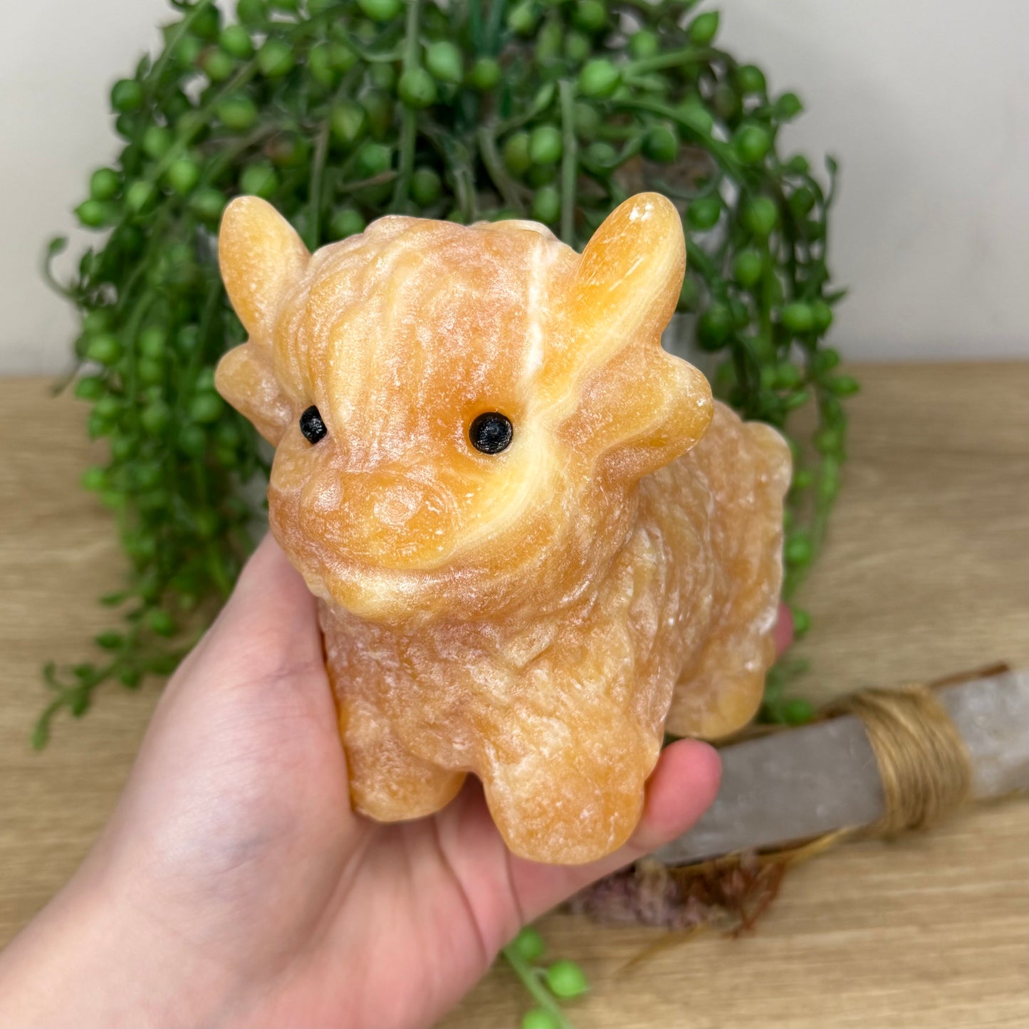 Yellow Calcite Highland Cow (Y885)