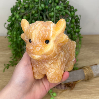 Yellow Calcite Highland Cow (Y885)