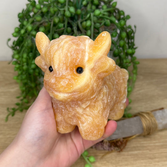 Yellow Calcite Highland Cow (Y885)