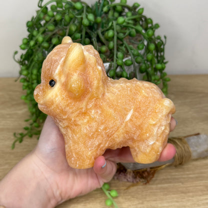 Yellow Calcite Highland Cow (Y885)