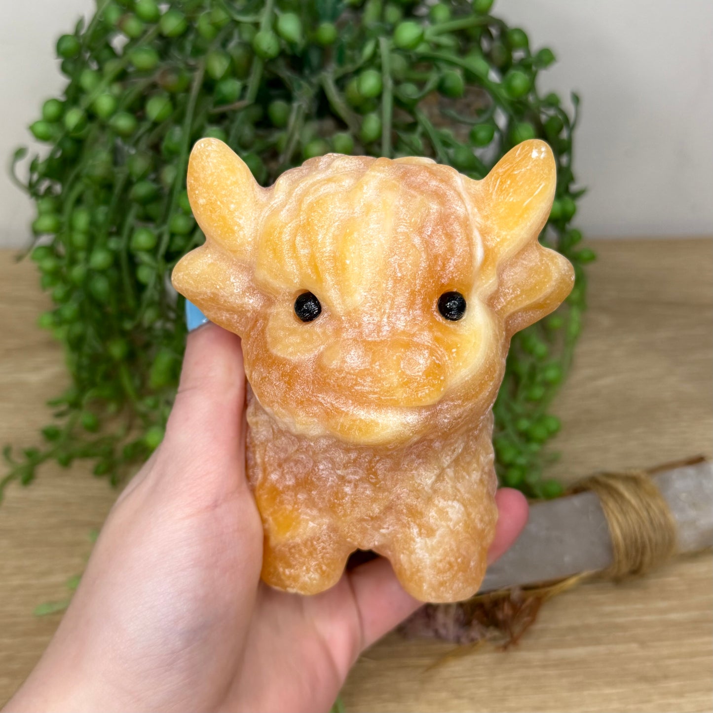 Yellow Calcite Highland Cow (Y885)