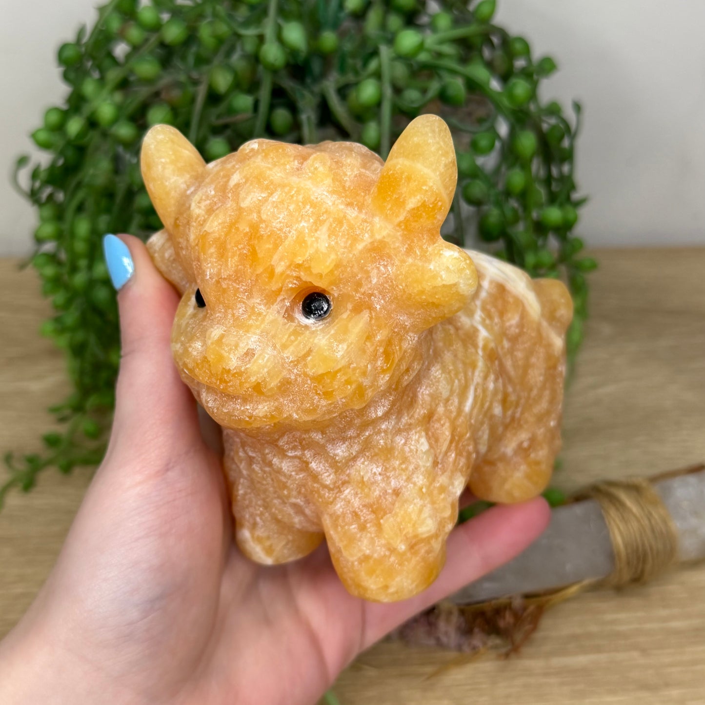 Yellow Calcite Highland Cow (Y884)