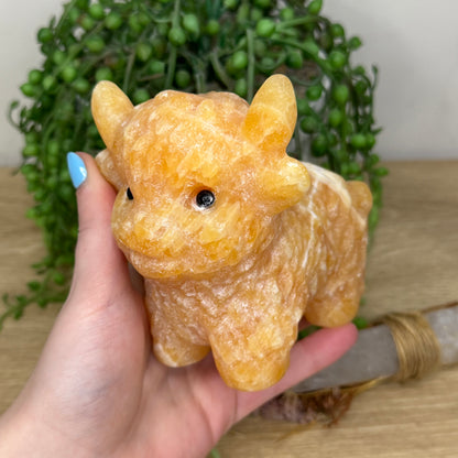 Yellow Calcite Highland Cow (Y884)