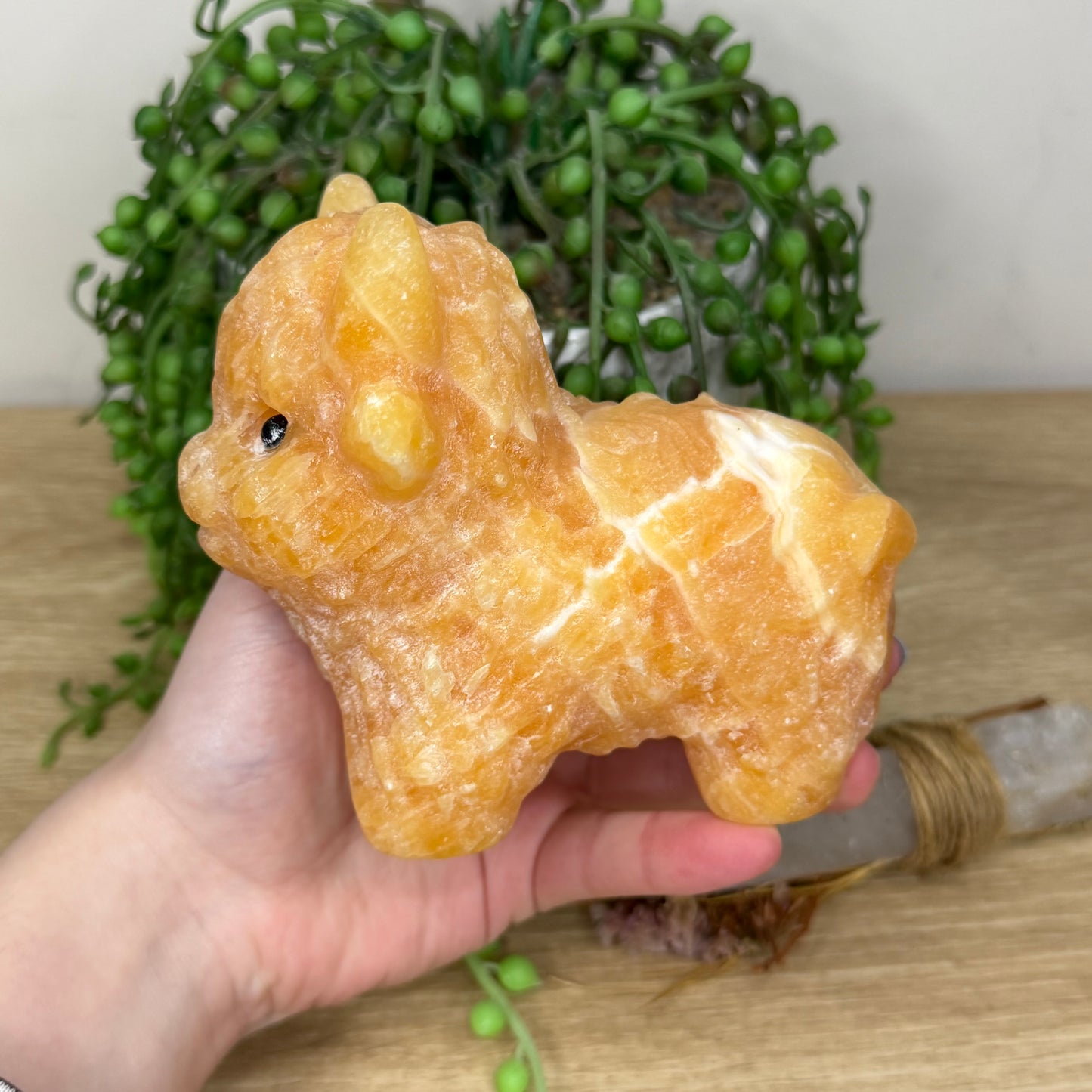 Yellow Calcite Highland Cow (Y884)