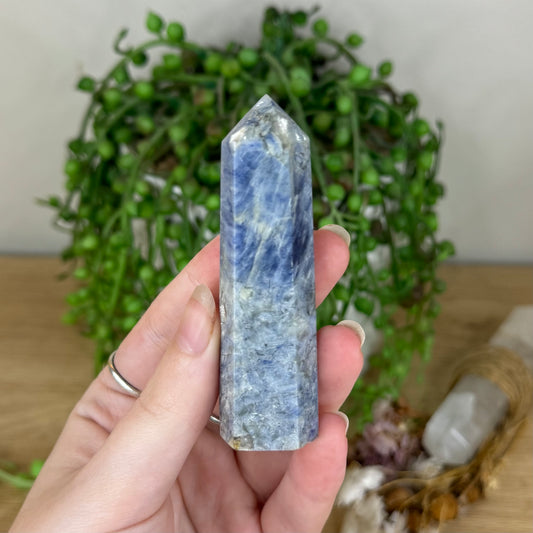 Blue Kyanite Point (P854)
