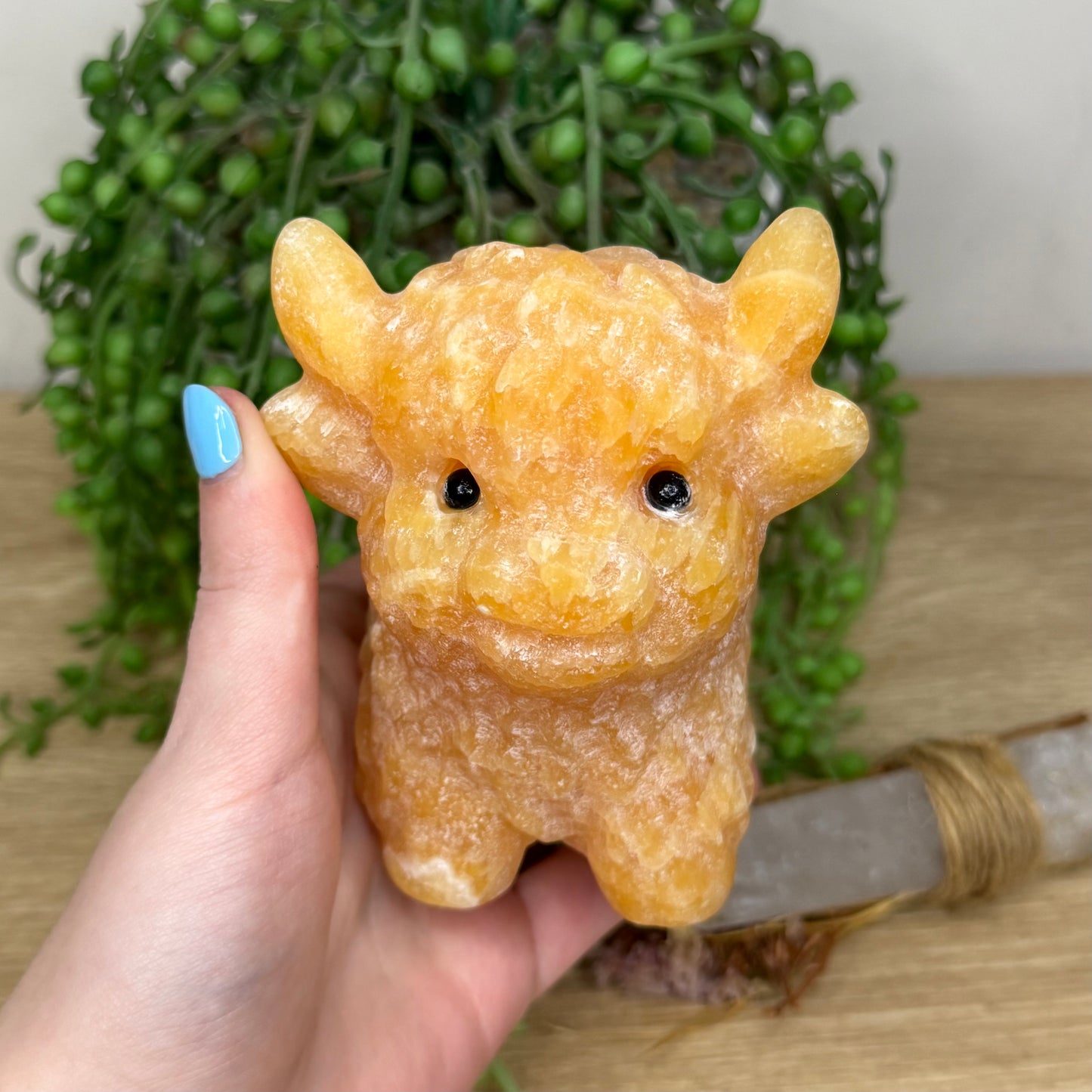 Yellow Calcite Highland Cow (Y884)