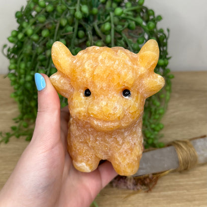 Yellow Calcite Highland Cow (Y884)