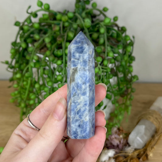 Blue Kyanite Point (P853)