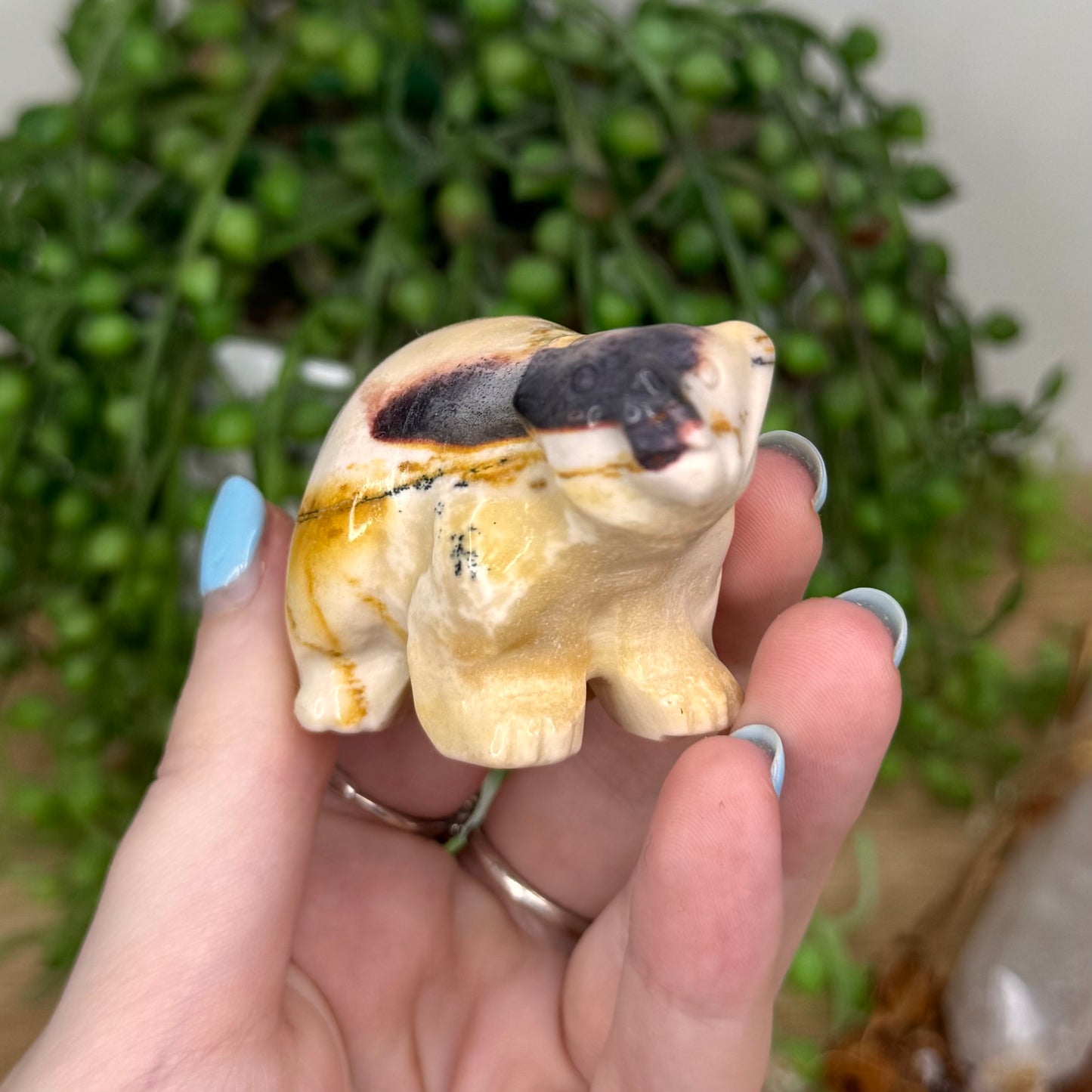 Mookaite Bear (U507)