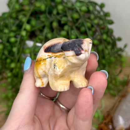 Mookaite Bear (U507)