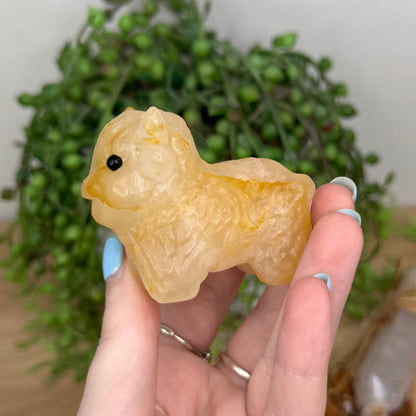 Golden Healer Highland Cow (U501)