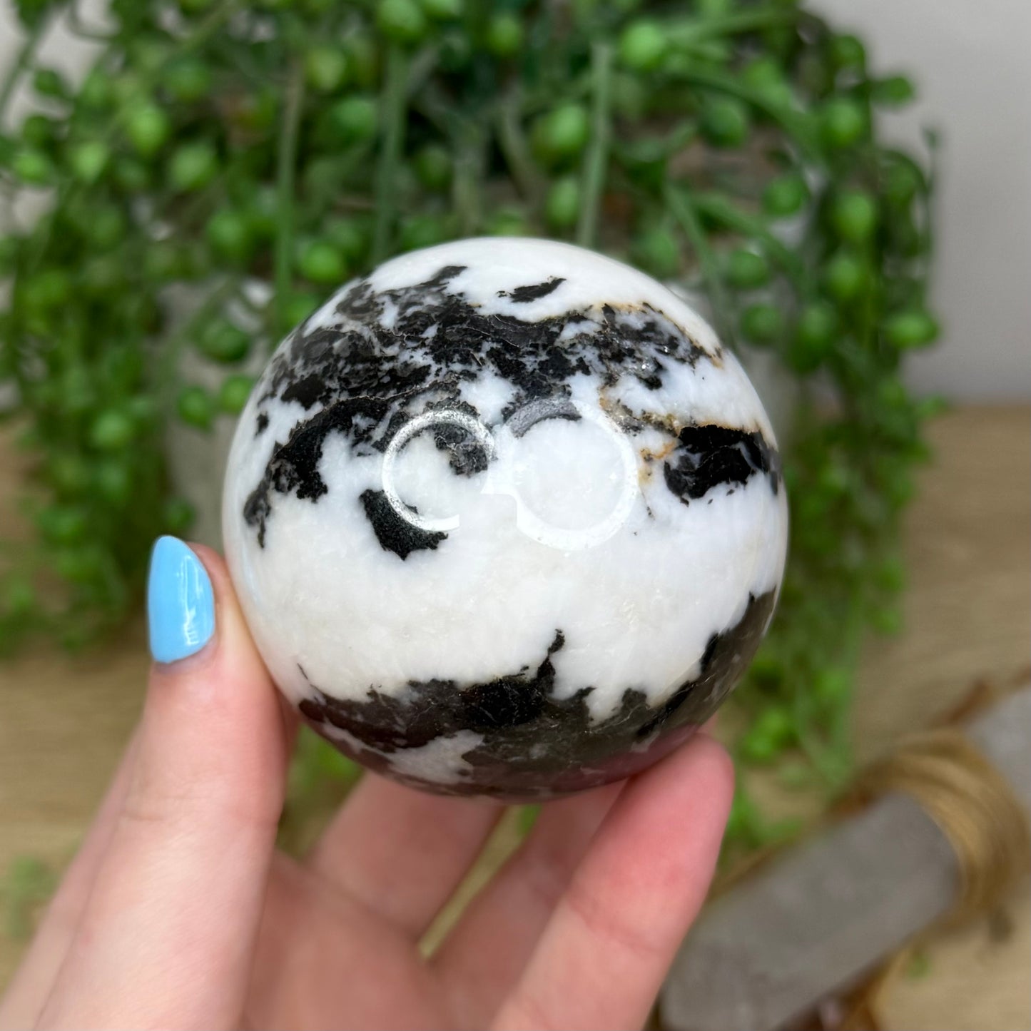 Black Zebra Jasper Sphere (344A)