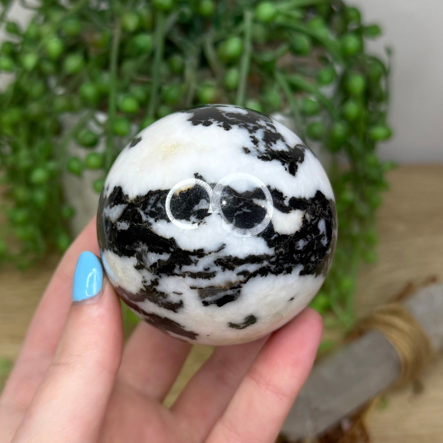 Black Zebra Jasper Sphere (343A)