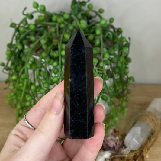 Tourmaline In Quartz Point (P848)