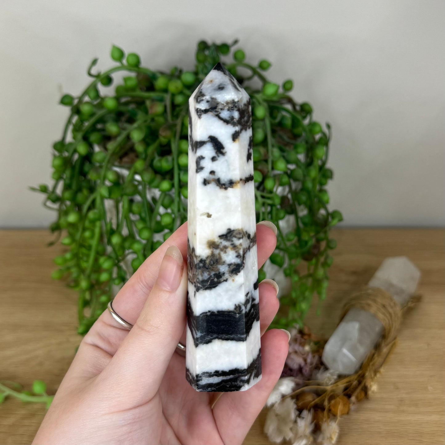 Black Zebra Jasper Point (Q84)