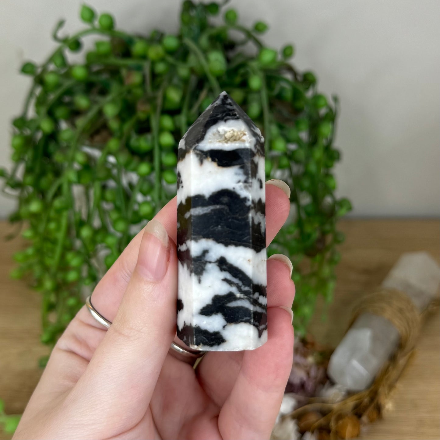 Black Zebra Jasper Point (Q79)