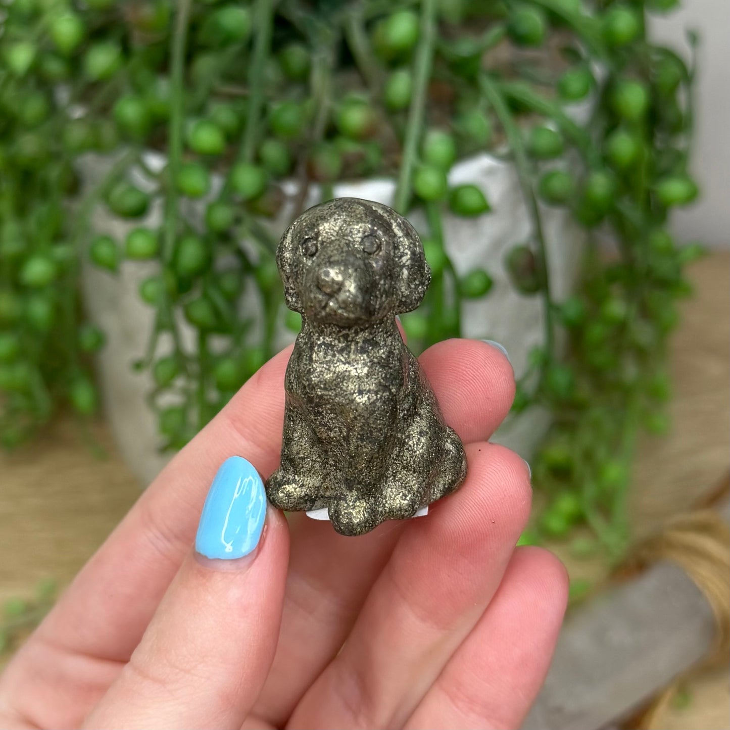 Pyrite Dog (353A)
