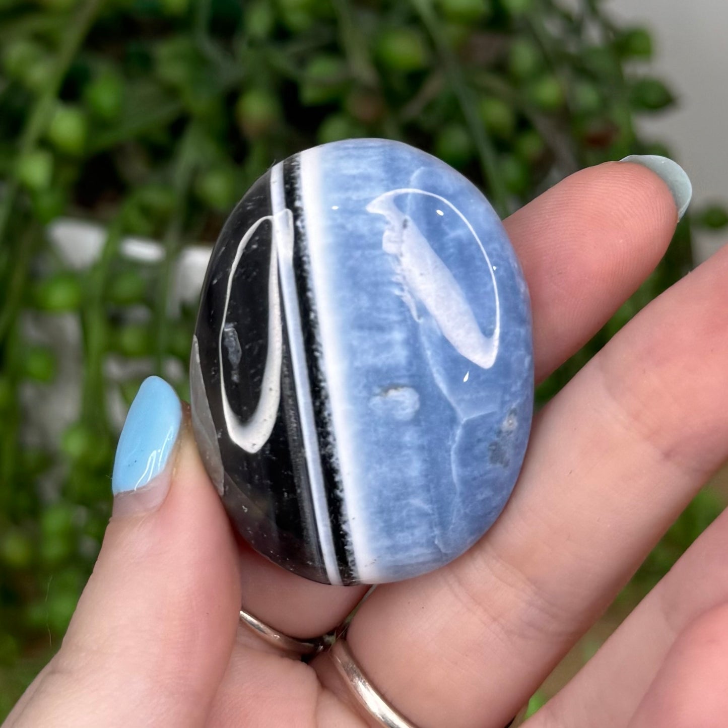 Owyhee Blue Opal Lucky Stone 4