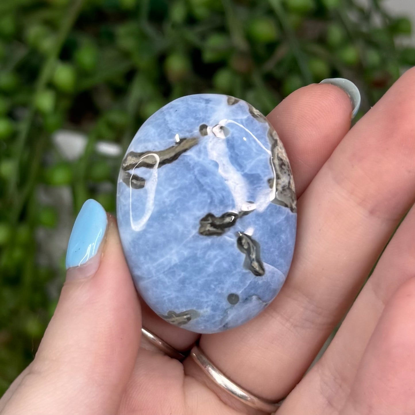 Owyhee Blue Opal Lucky Stone 5