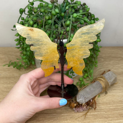 Golden Healer Butterfly Wings On Stand
