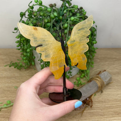 Golden Healer Butterfly Wings On Stand
