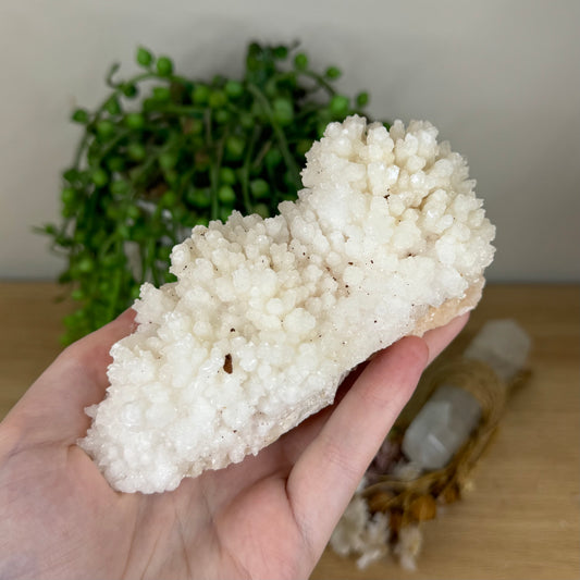 Stalactite Cluster (P909)