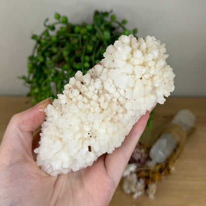 Stalactite Cluster (P909)