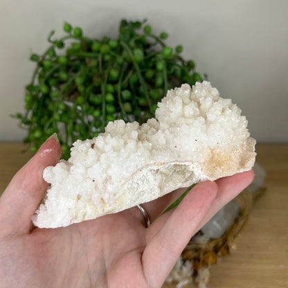 Stalactite Cluster (P909)