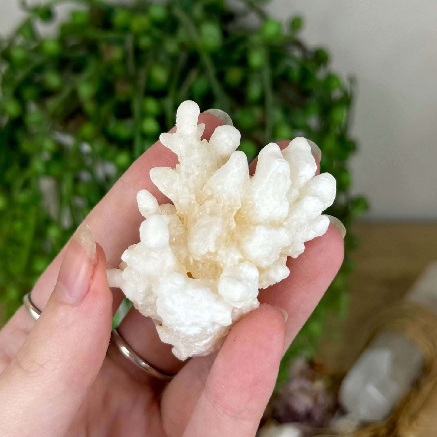 Stalactite Cluster (P903)