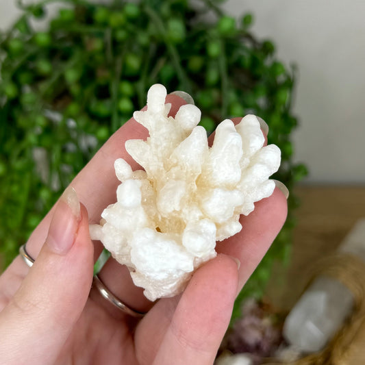 Stalactite Cluster (P903)