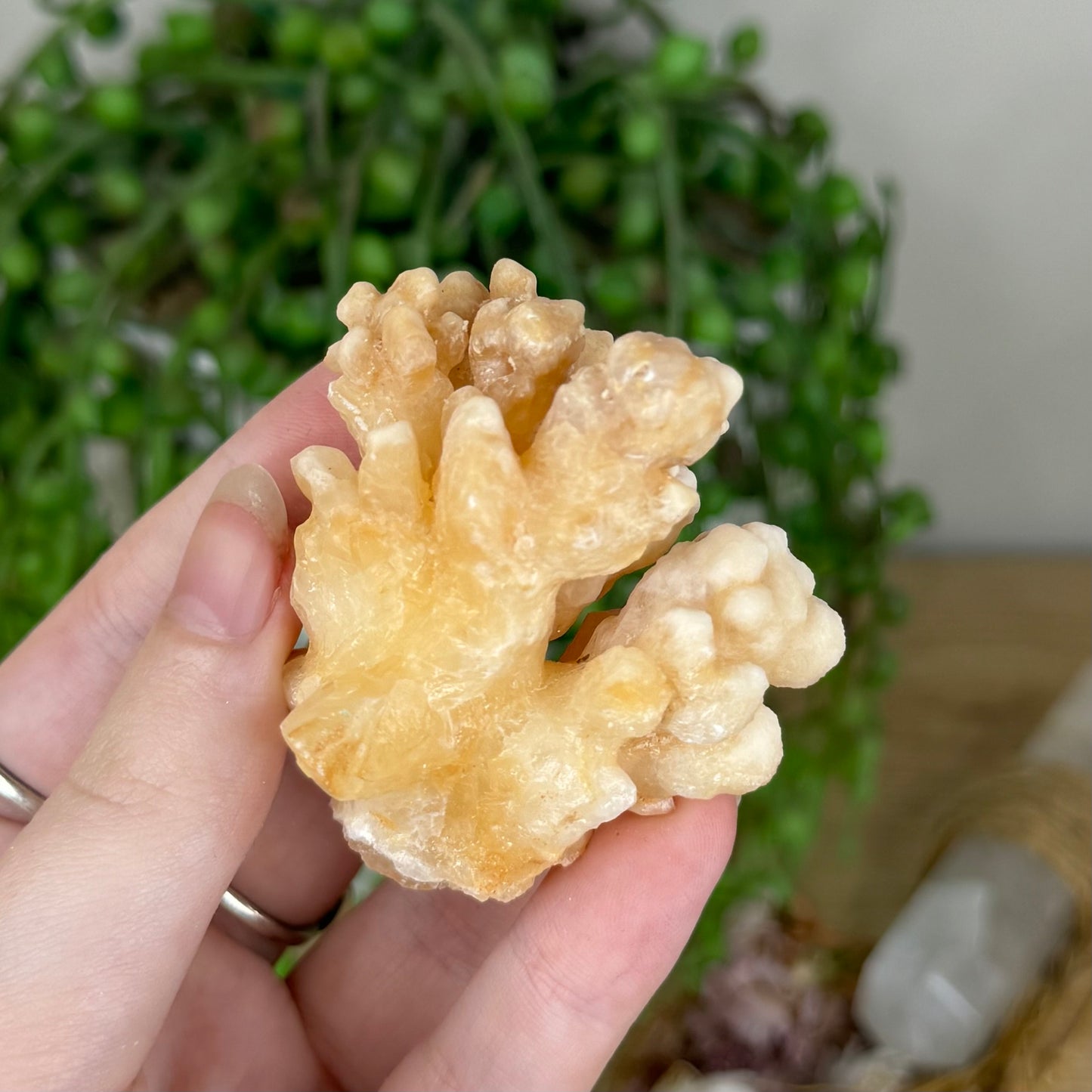 Stalactite Cluster (P904)