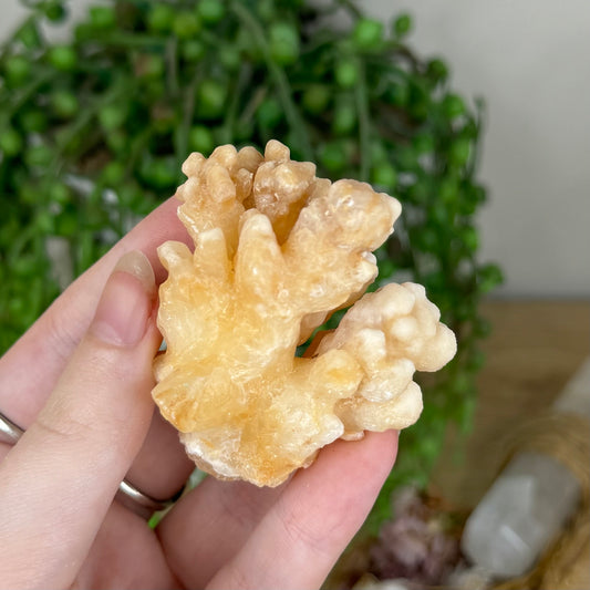 Stalactite Cluster (P904)