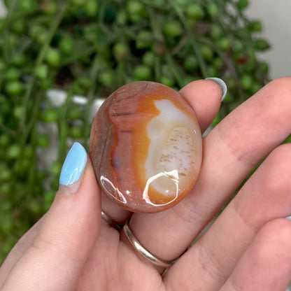 Carnelian Lucky Stone 5