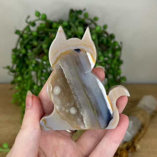 Druzy Agatę Cat (P967)