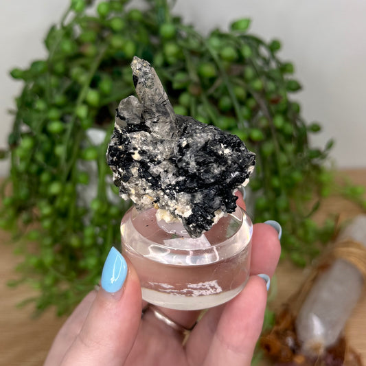 Tourmaline In Quartz Specimen (U818)