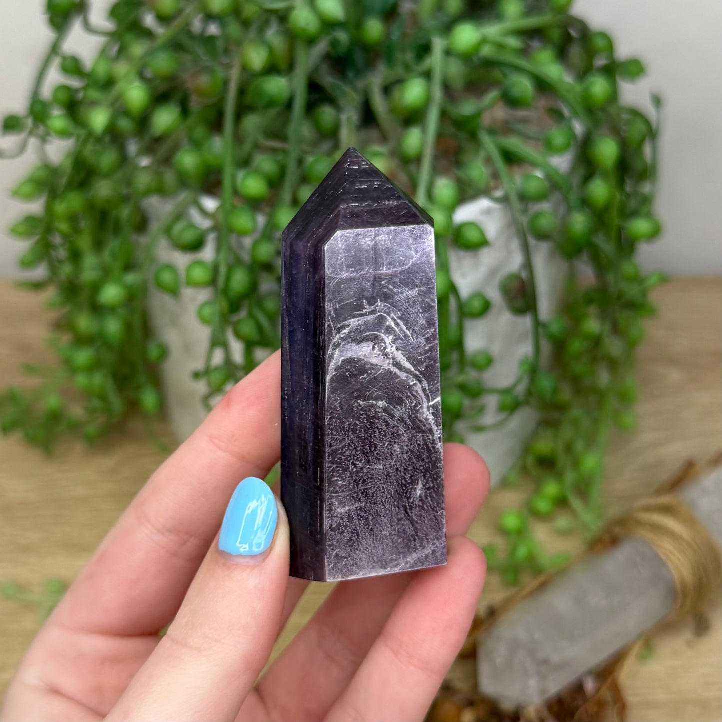 Purple Mica Point (Z744)