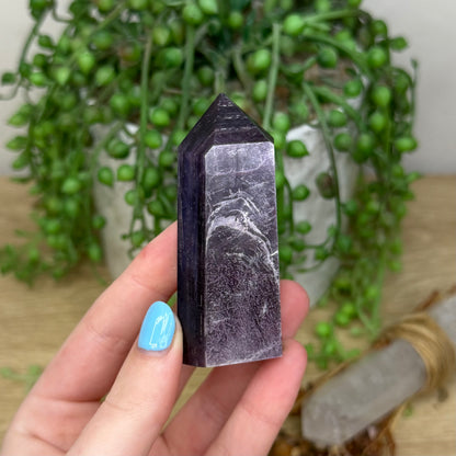Purple Mica Point (Z744)