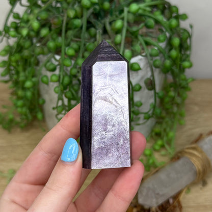 Purple Mica Point (Z744)