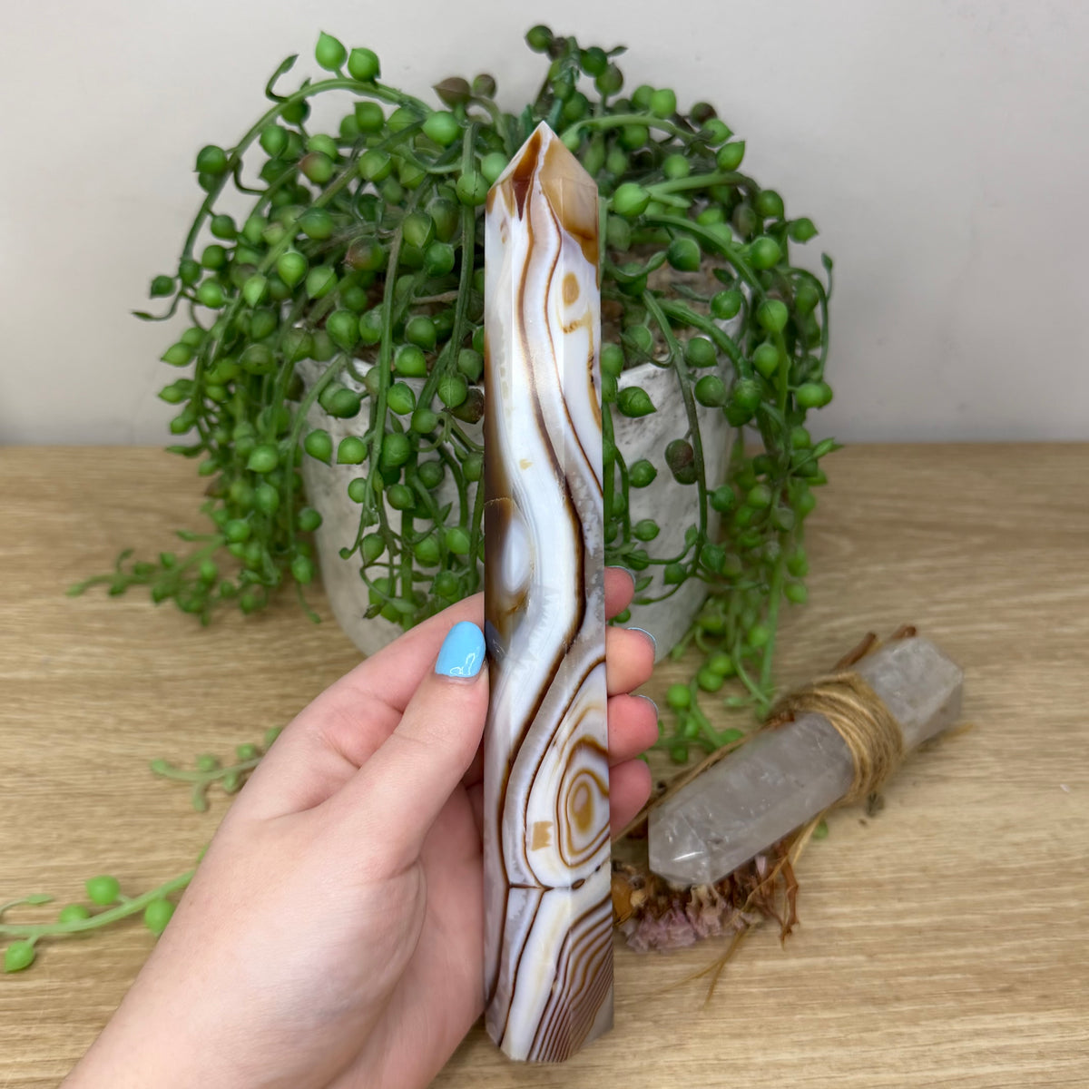 Sardonyx Point (31A)