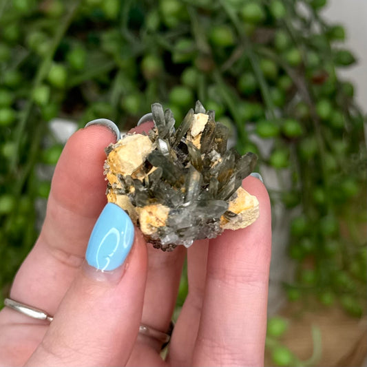 Green Garden Quartz Cluster (U819)